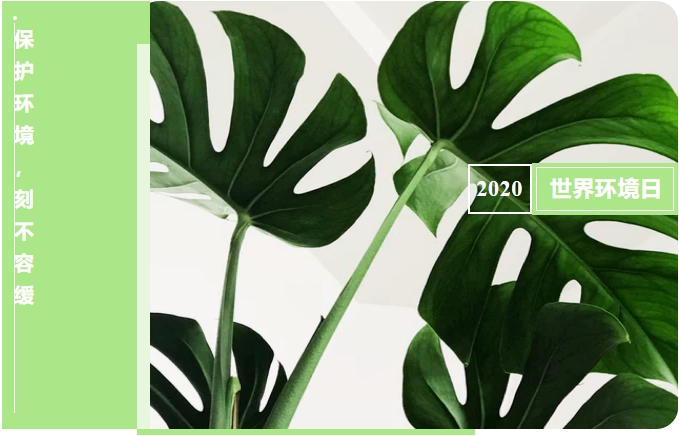 世界環(huán)境日——保護環(huán)境,刻不容緩 世界環(huán)境日——保護環(huán)境,刻不容緩